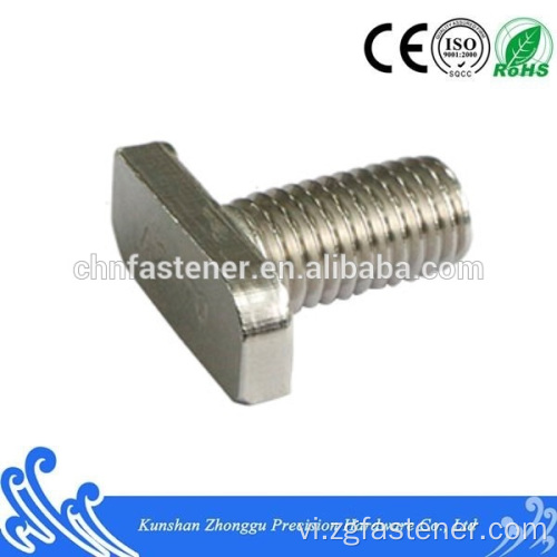 Thép không gỉ tùy chỉnh đầu vuông T Bolt